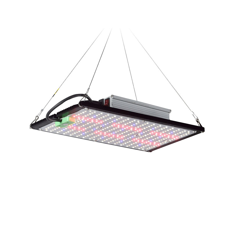 Led Grow Light - Lampada LED Quantum-Board per la Crescita