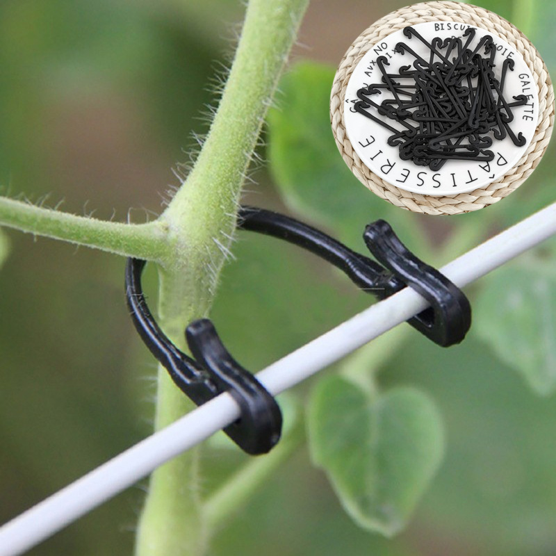 Gardening Tools For Vines - 50PCS Viti di Fissaggio Legato Pinze