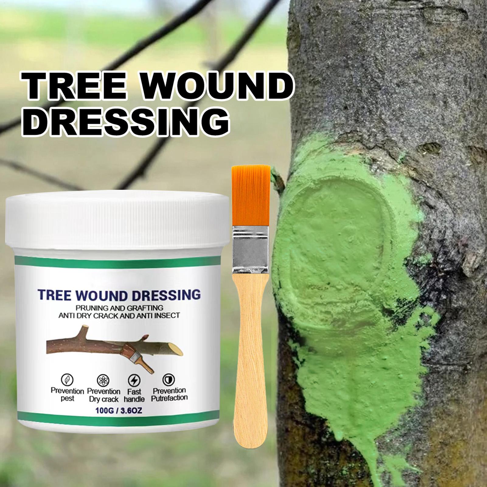 Gardening Tools Wholesale - Pasta per Innesto Alberi, Pasta per