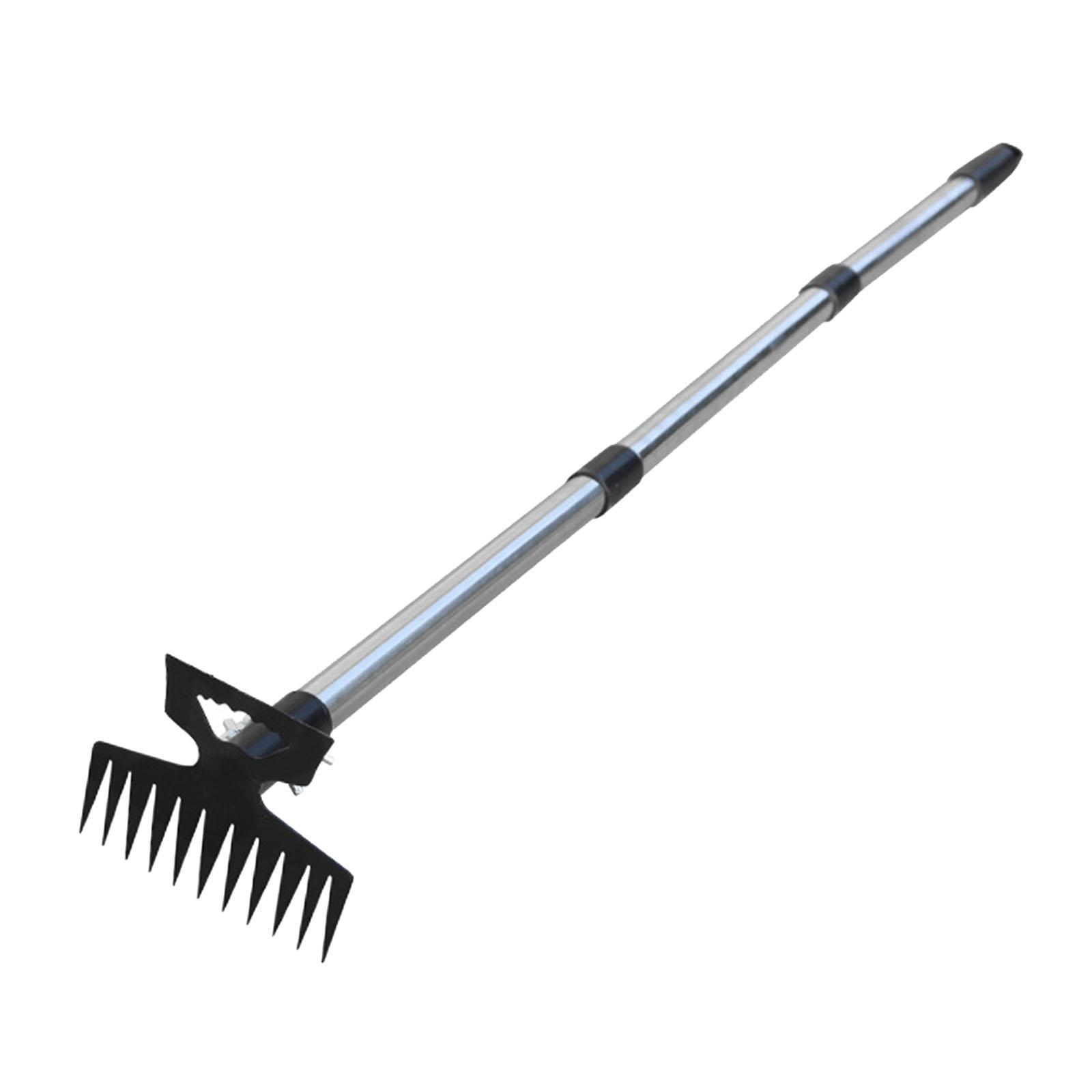 Estirpatore di Erbacce Manuale - Gardening Tools To Remove Grass recensione e prezzo