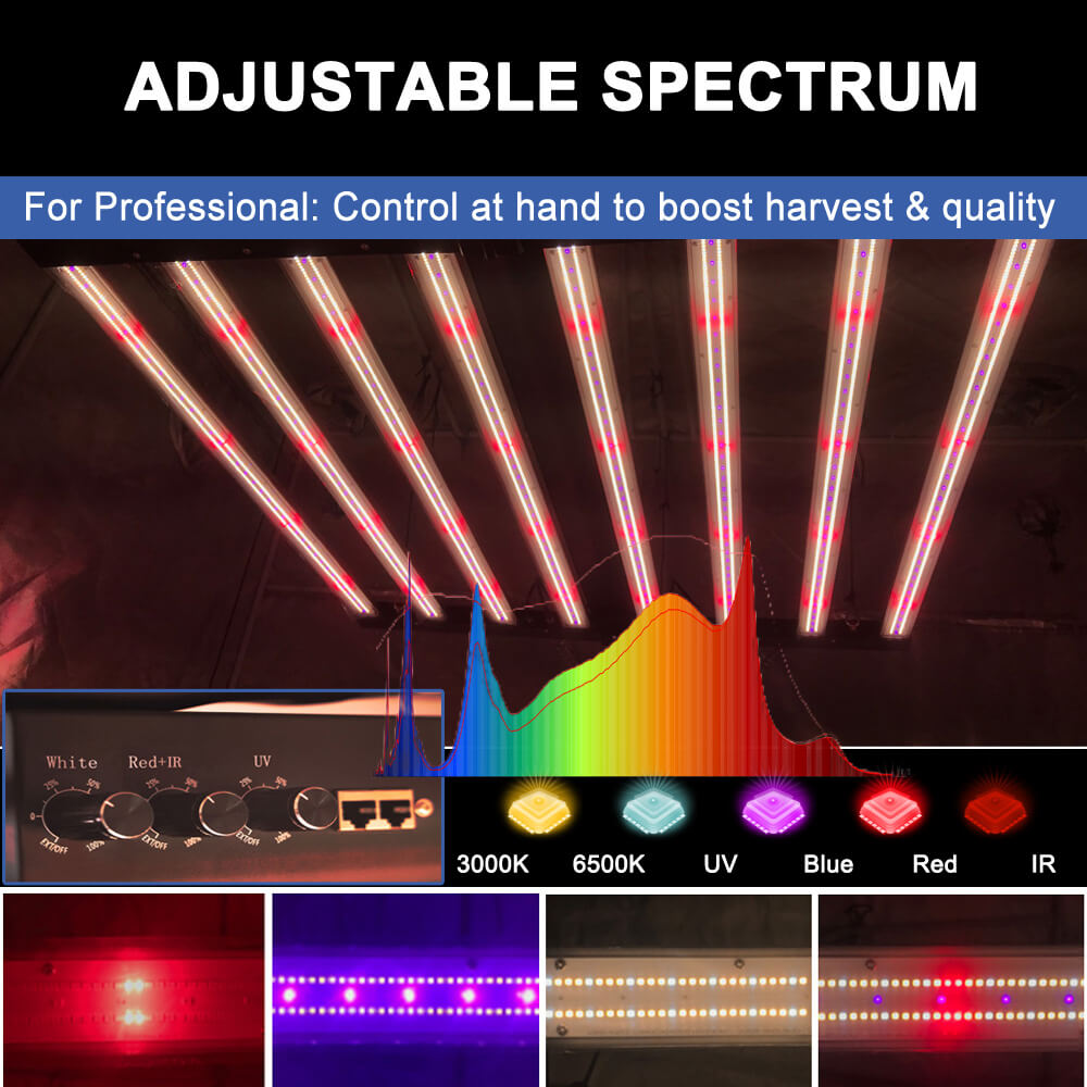 Luci LED per Coltivazione PPFD - Led Grow Light recensione e prezzo