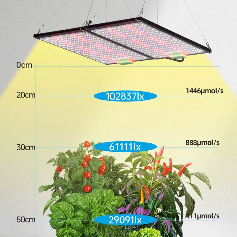 Lampada LED Quantum-Board per  - Led Grow Light recensione e prezzo