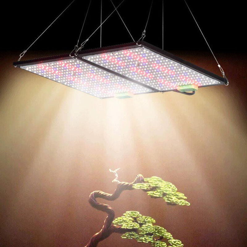 Lampada LED Quantum-Board per  - Led Grow Light recensione e prezzo