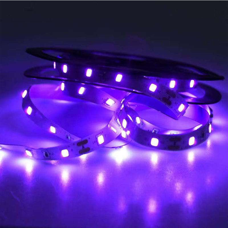 Luce ultravioletta a LED UV, l - Led Grow Light recensione e prezzo