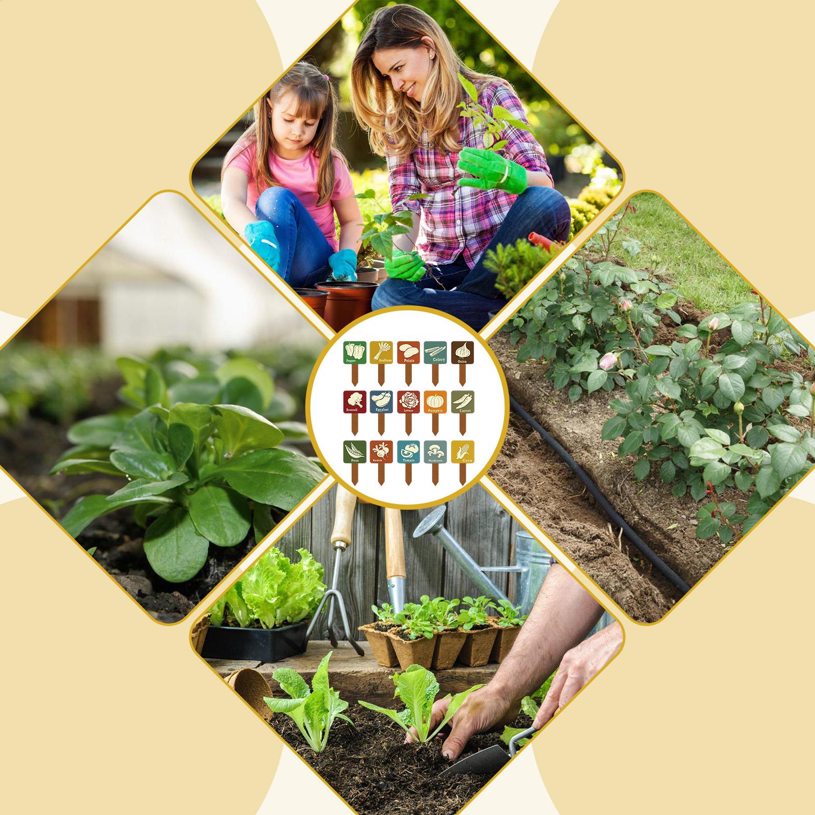 Etichette per Piante da Giardi - Garden Row Marker recensione e prezzo