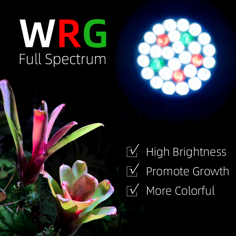 Y30SE Lampadina per coltivazio - Led Grow Light recensione e prezzo