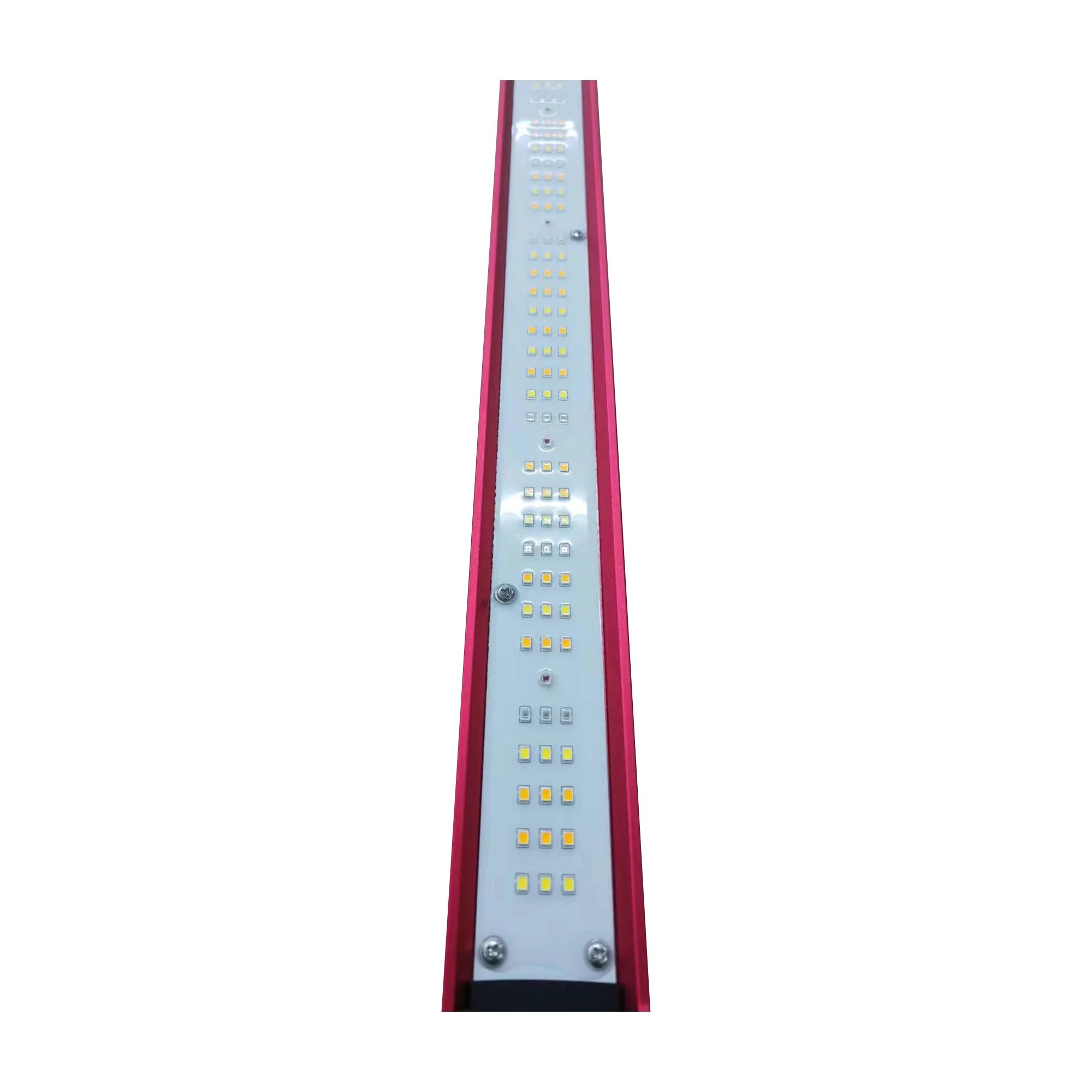 Lampada LED a Spettro Completo - Led Grow Light recensione e prezzo