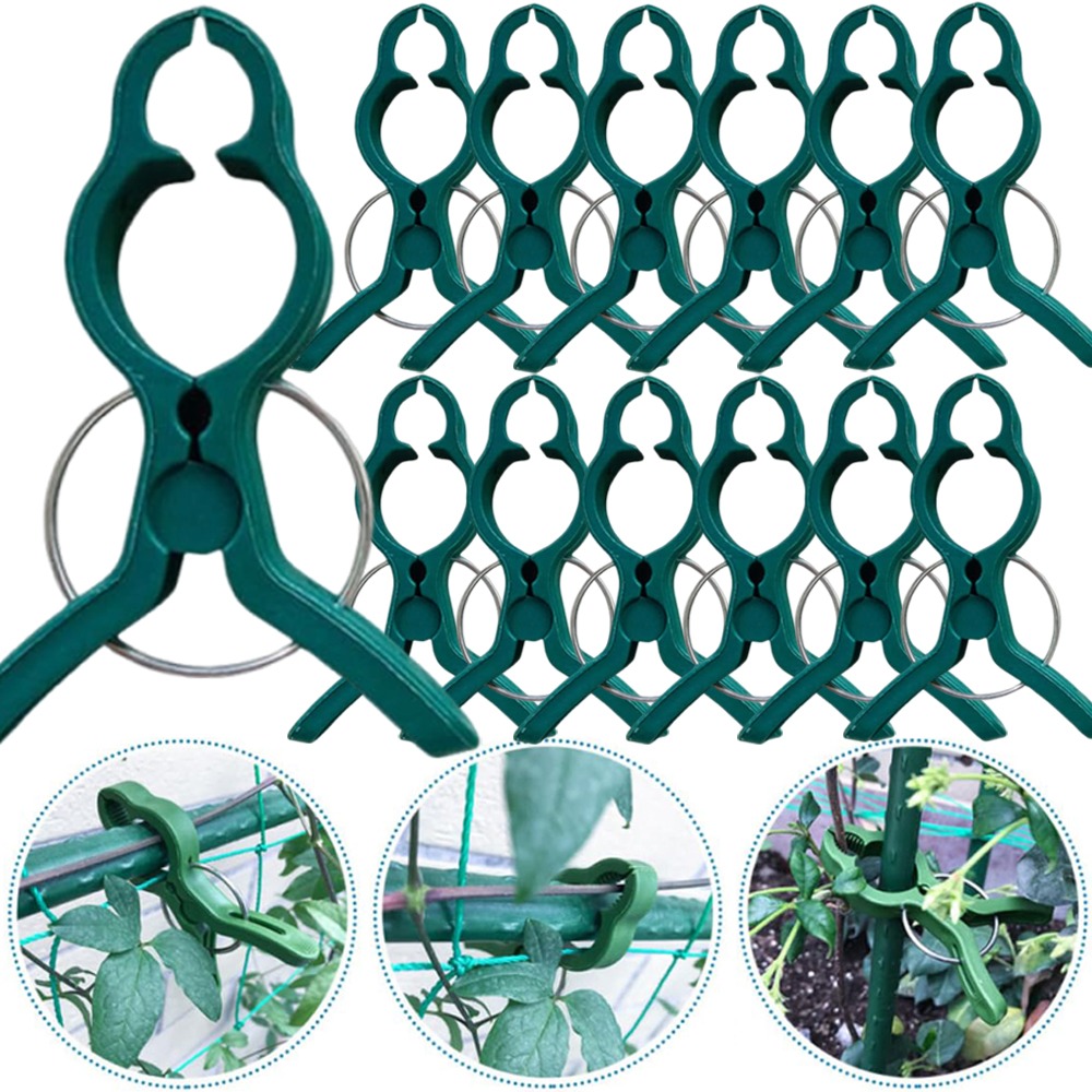 50/10 Pezzi Clip di Supporto p - Gardening Tools For Vines recensione e prezzo