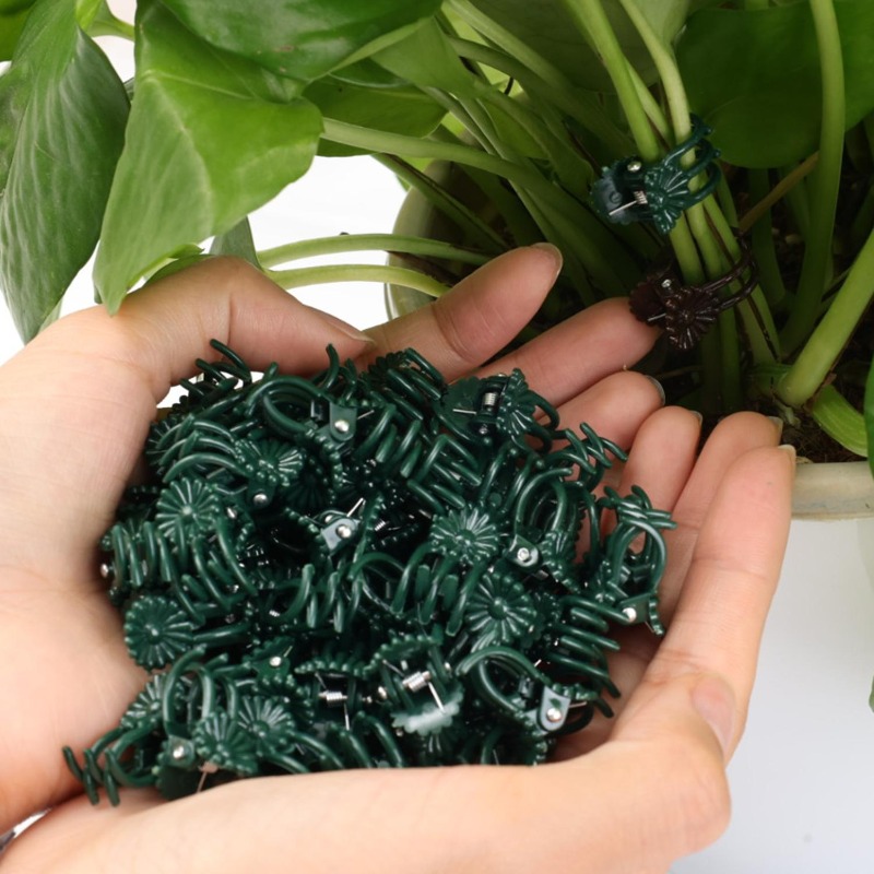 Clip di Supporto Mini per Pian - Gardening Tools Wholesale recensione e prezzo