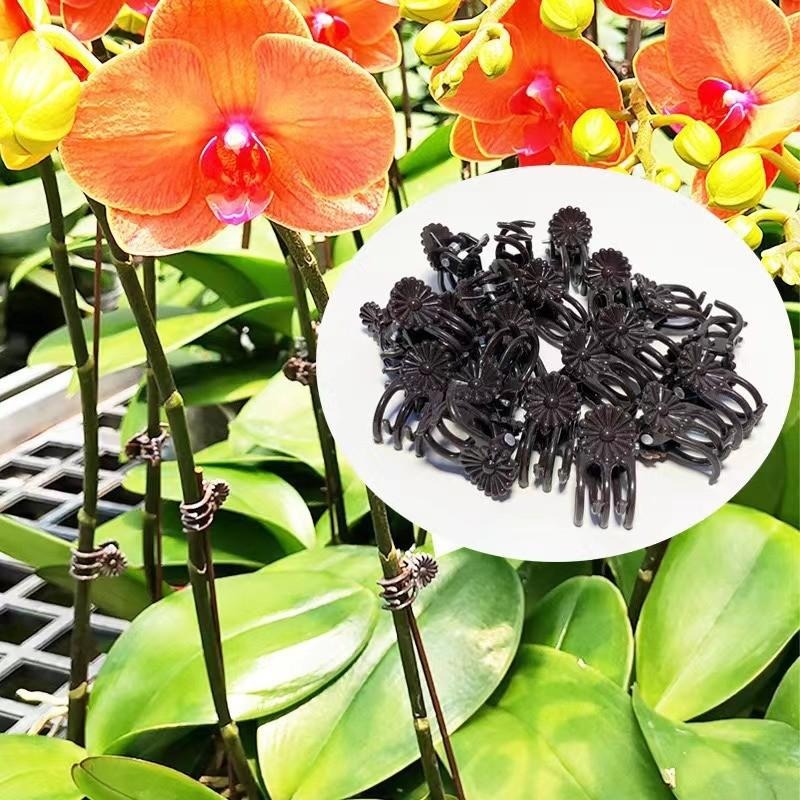 Clip di Supporto Mini per Pian - Gardening Tools Wholesale recensione e prezzo