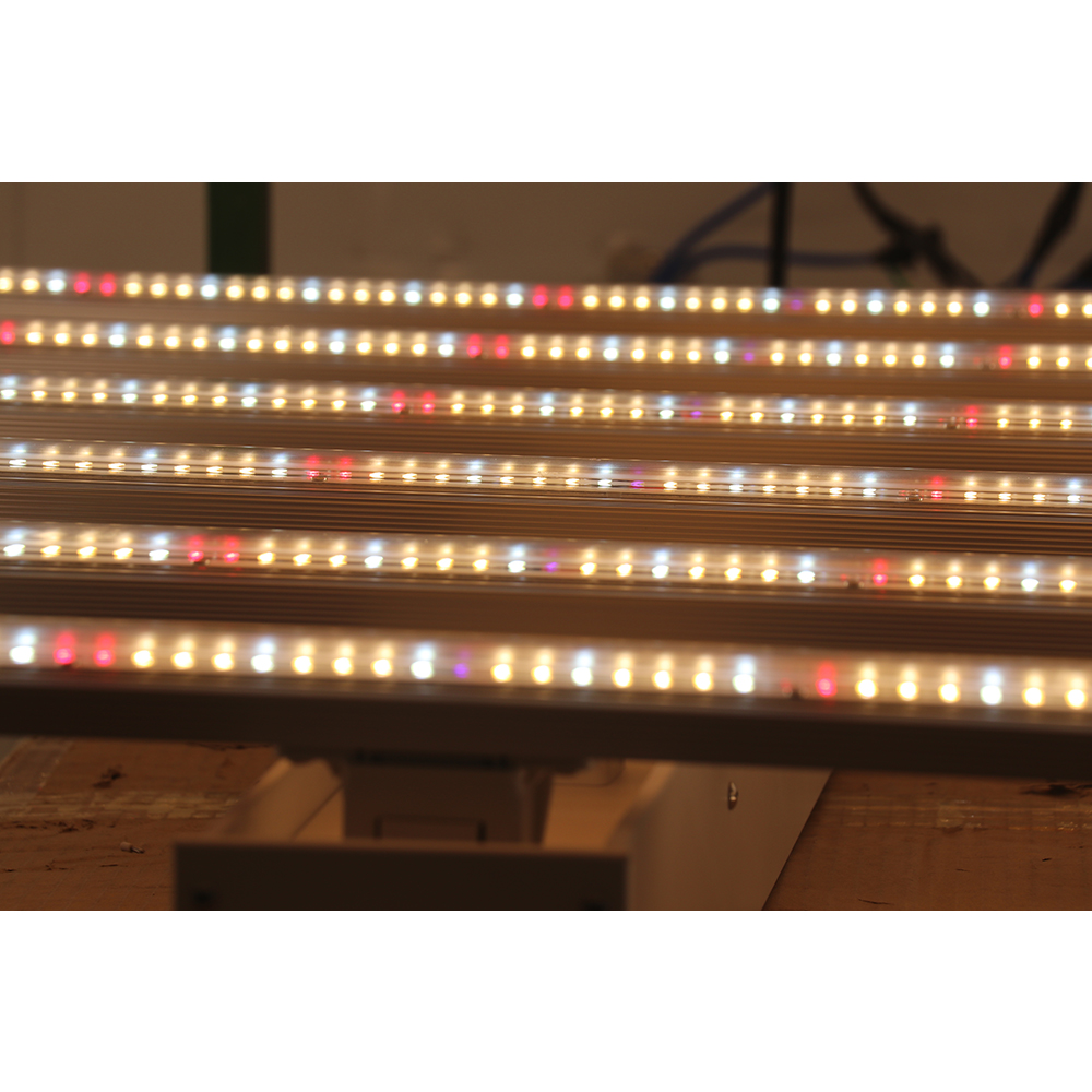 Lampada LED per Coltivazione P - Led Grow Light recensione e prezzo