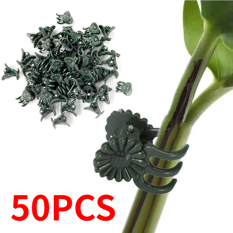 50 Pezzi Clip per Piante a 5 A - Gardening Tools For Vines recensione e prezzo