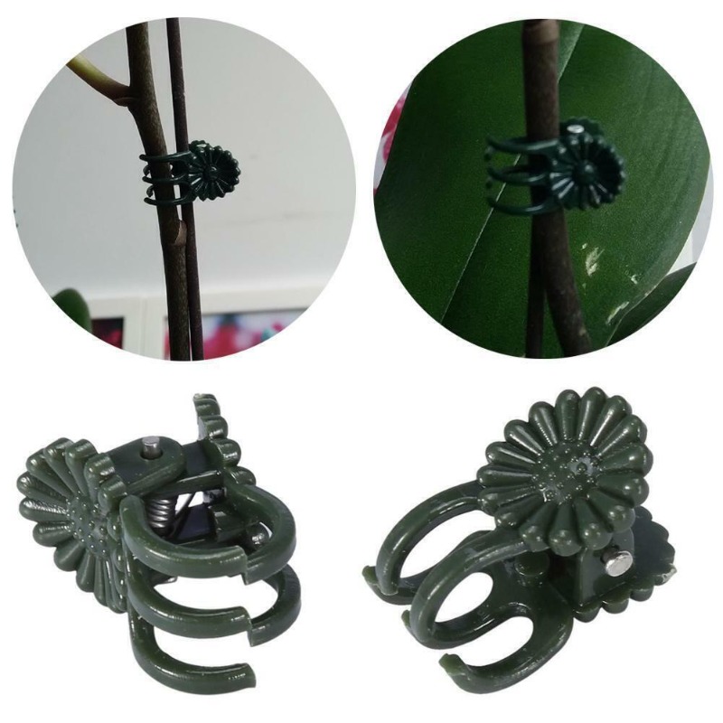50 Pezzi Clip per Piante a 5 A - Gardening Tools For Vines recensione e prezzo