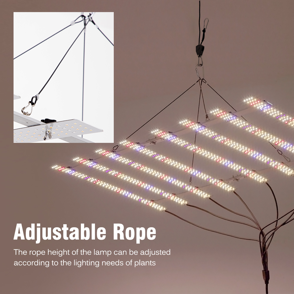 🌴 Lampada LED per Coltivazione - Led Grow Light recensione e prezzo