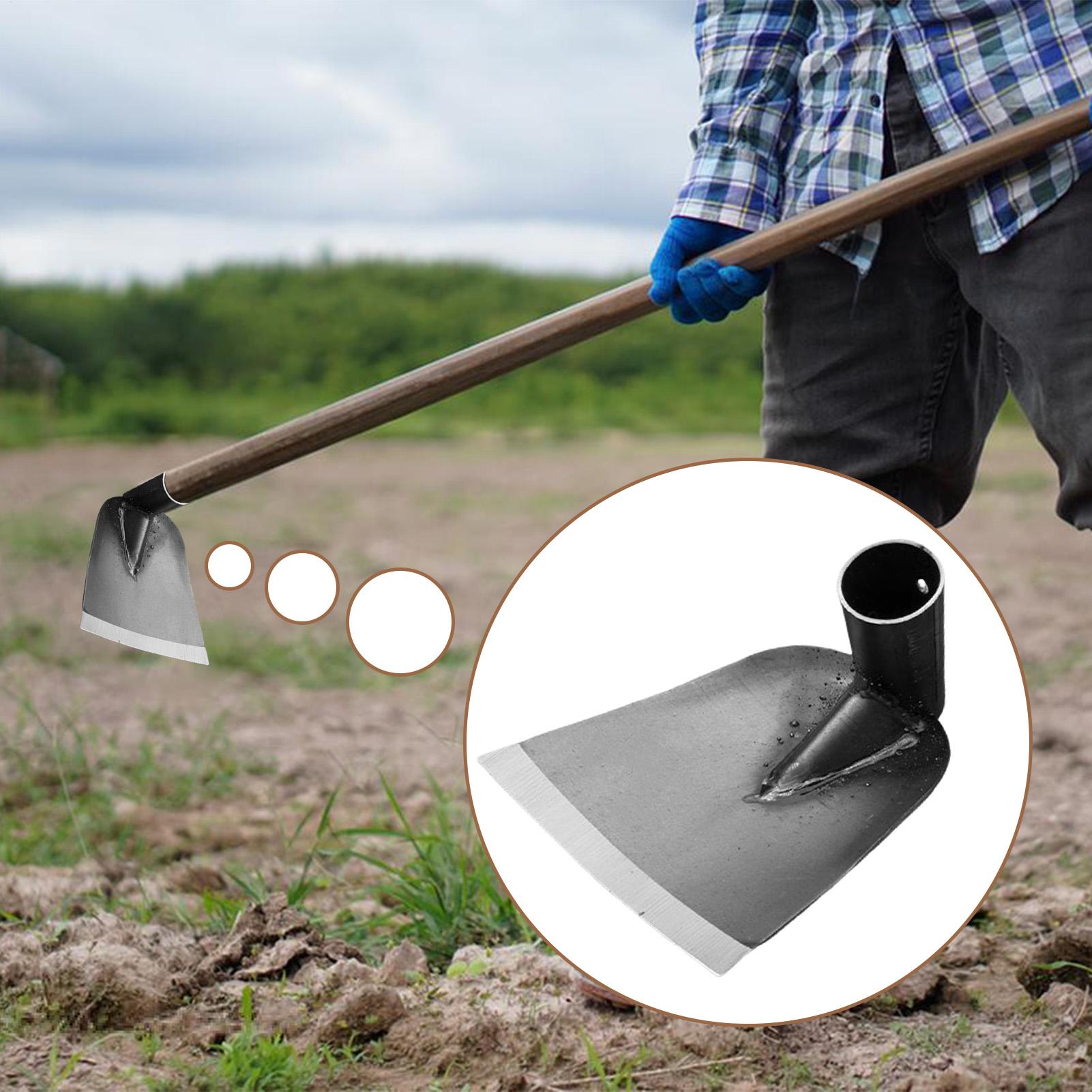 Zappa da giardino in acciaio a - Gardening Tools To Remove Grass recensione e prezzo