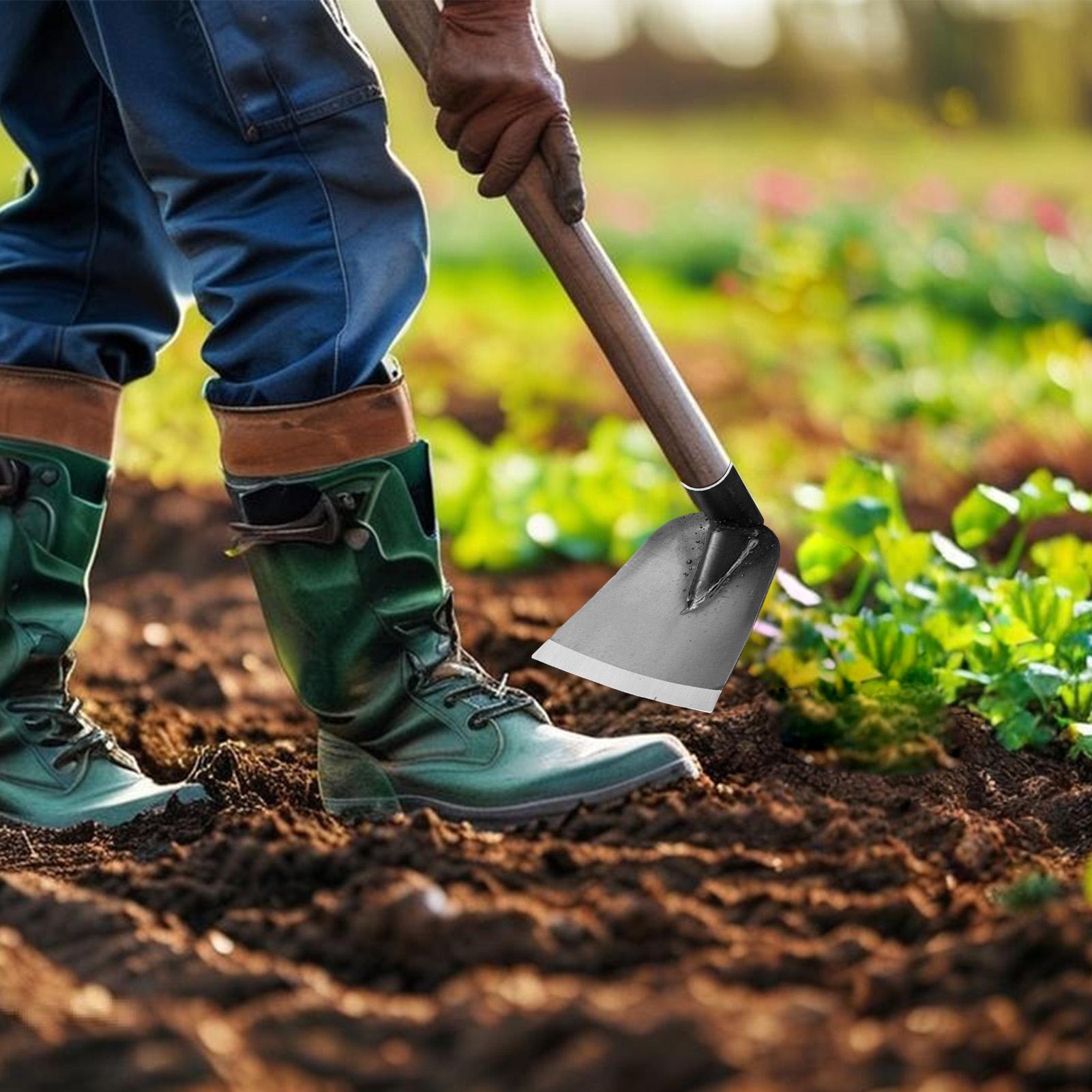 Zappa da giardino in acciaio a - Gardening Tools To Remove Grass recensione e prezzo