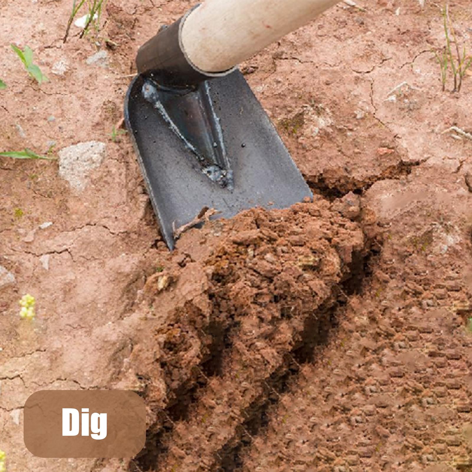 Zappa da giardino in acciaio a - Gardening Tools To Remove Grass recensione e prezzo