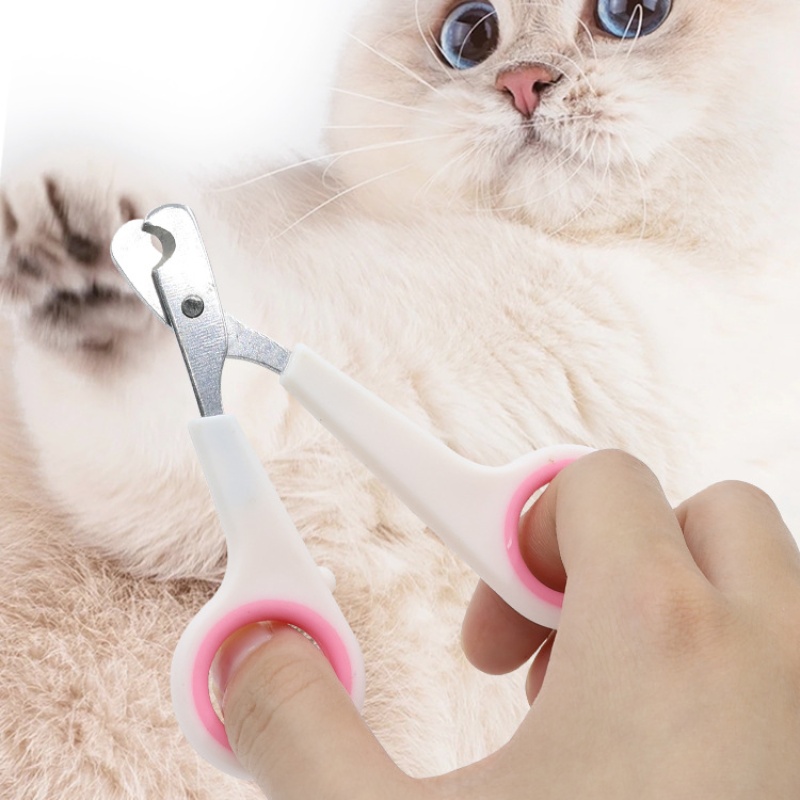 Forbici Tagliaunghie per Cani  - Gardening Tools Wholesale recensione e prezzo