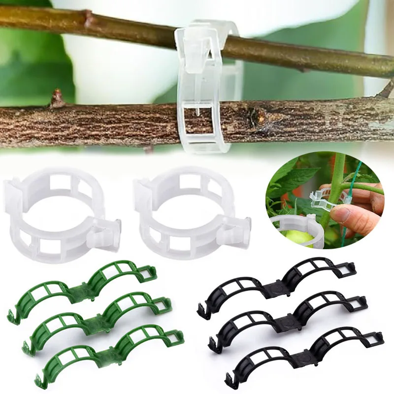100PCS Pianta Clip di Fissaggi - Gardening Tools For Vines recensione e prezzo