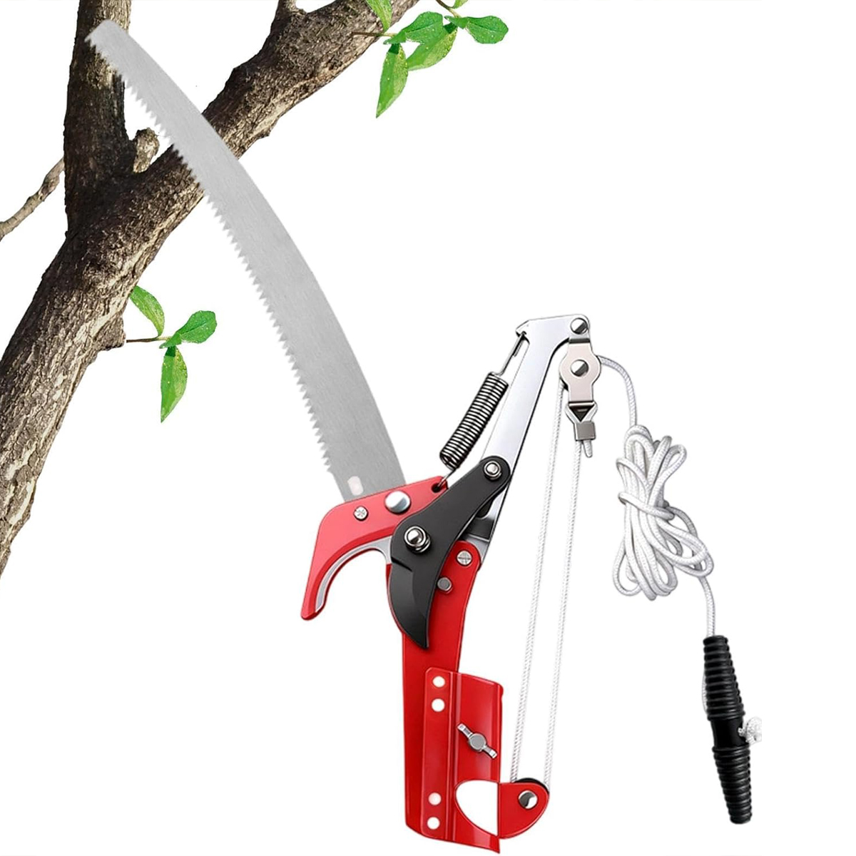 Forbici da potatura per alta q - Gardening Tools Wholesale recensione e prezzo