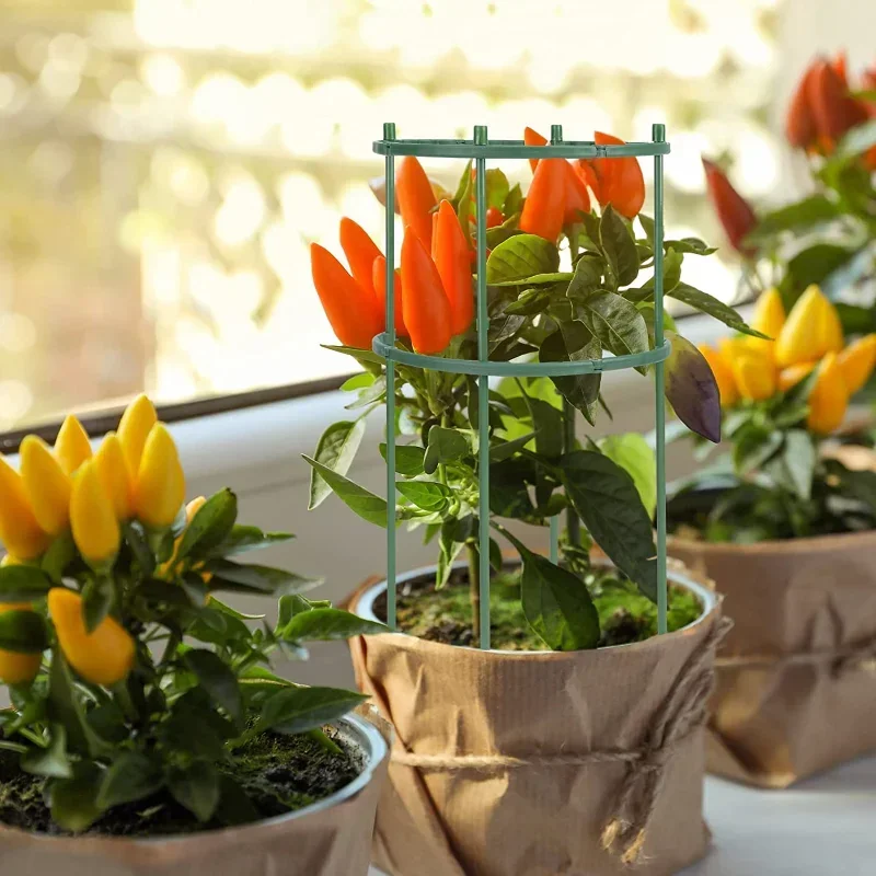 Supporto per piante in plastic - Gardening Tools Range recensione e prezzo