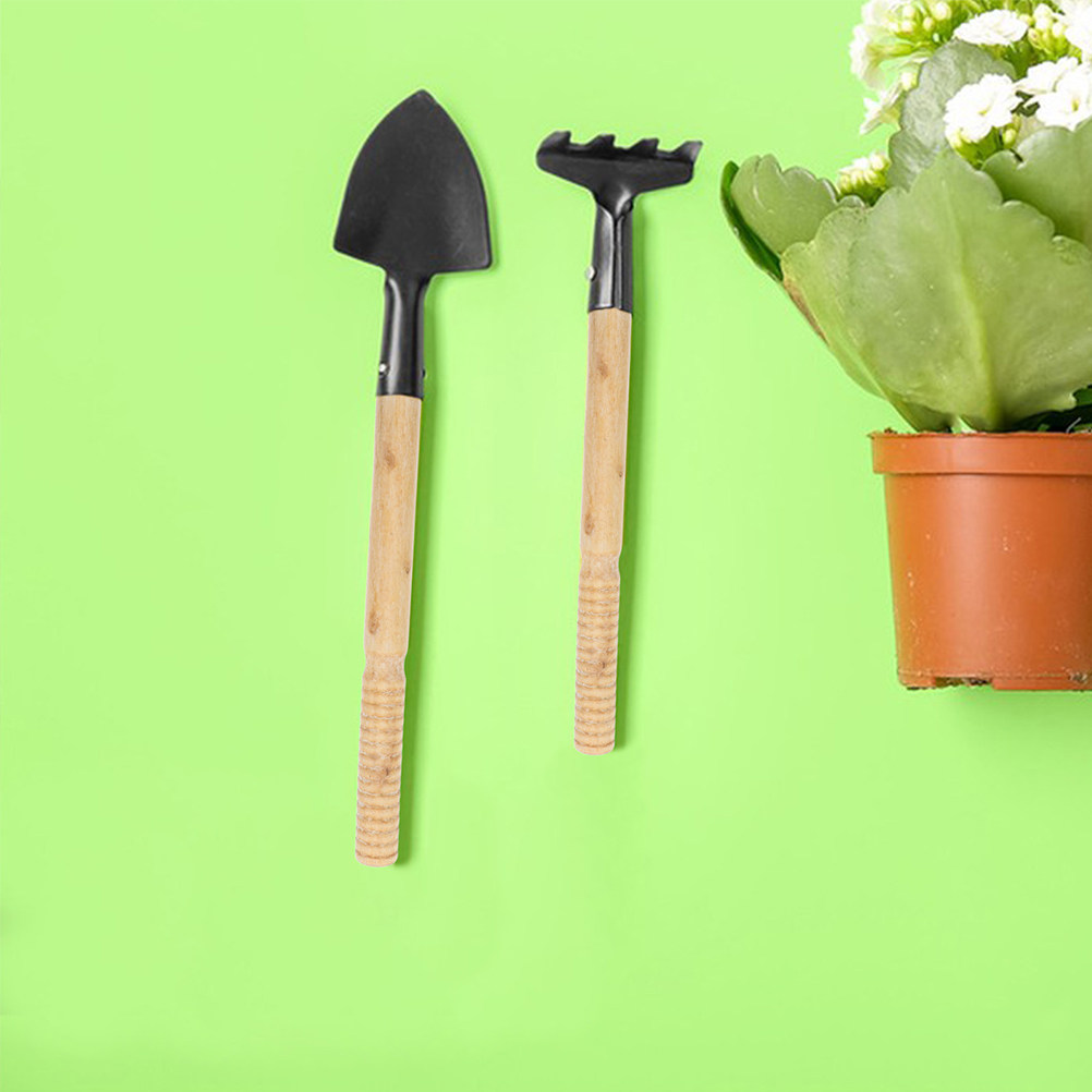 5 Pezzi di Manici in Legno Rob - Gardening Tools Wooden recensione e prezzo
