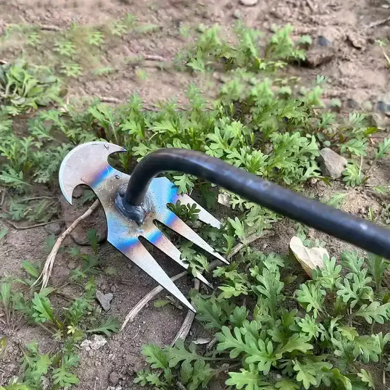 Diserbante da Giardino in Acci - Gardening Tools To Remove Grass recensione e prezzo