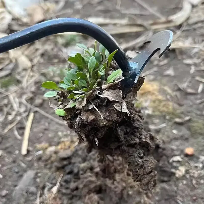 Diserbante da Giardino in Acci - Gardening Tools To Remove Grass recensione e prezzo