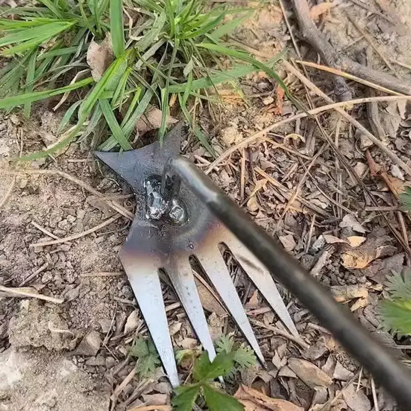 Diserbante da Giardino in Acci - Gardening Tools To Remove Grass recensione e prezzo