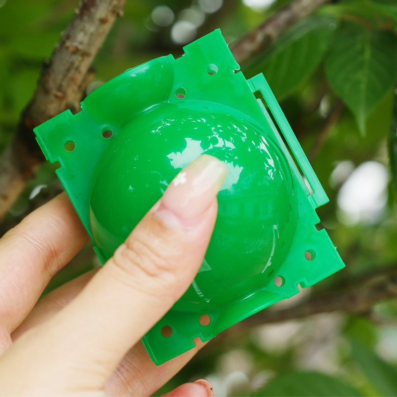 Sfere di Rooting Pod per la Di - Gardening Tools Organiser recensione e prezzo