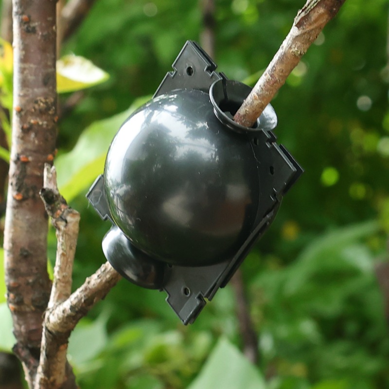 Sfere di Rooting Pod per la Di - Gardening Tools Organiser recensione e prezzo