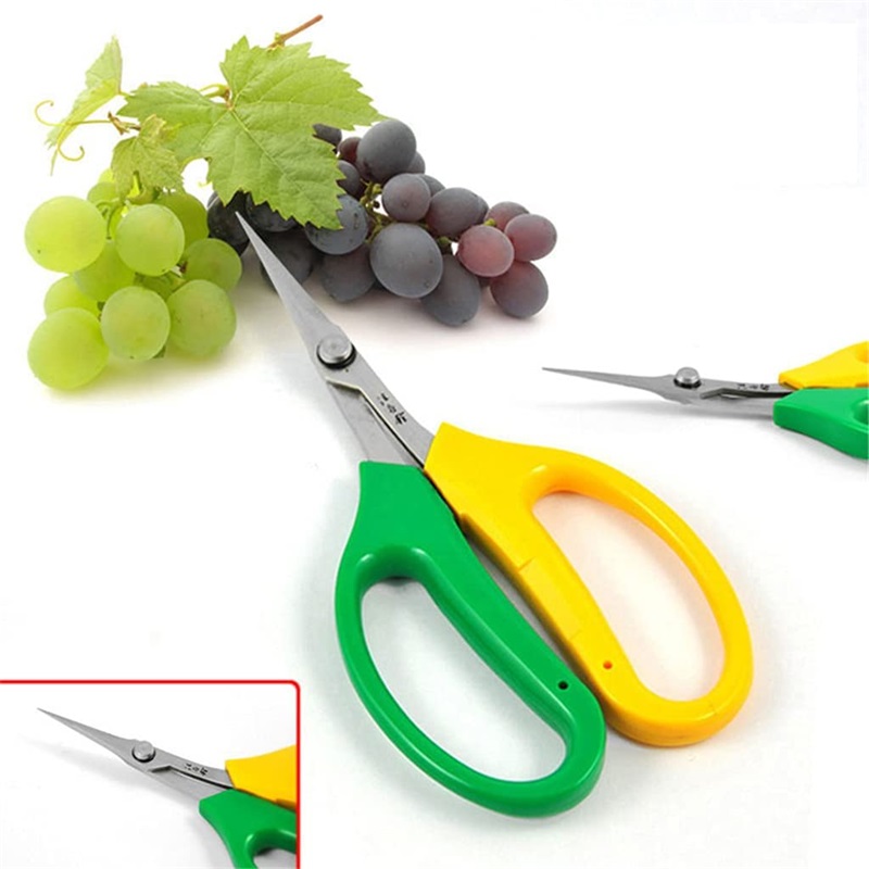 Forbici da giardino multifunzi - Gardening Tools Sale recensione e prezzo