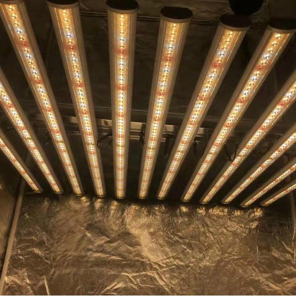 LUX Illuminazione LED per Pian - Led Grow Light recensione e prezzo