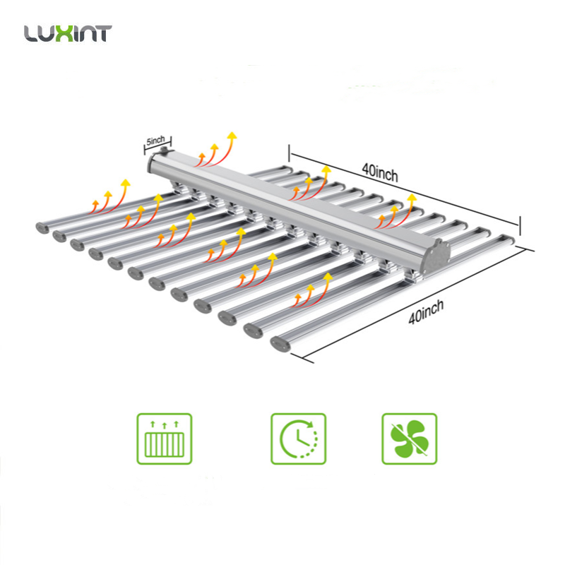 LUX Illuminazione LED per Pian - Led Grow Light recensione e prezzo