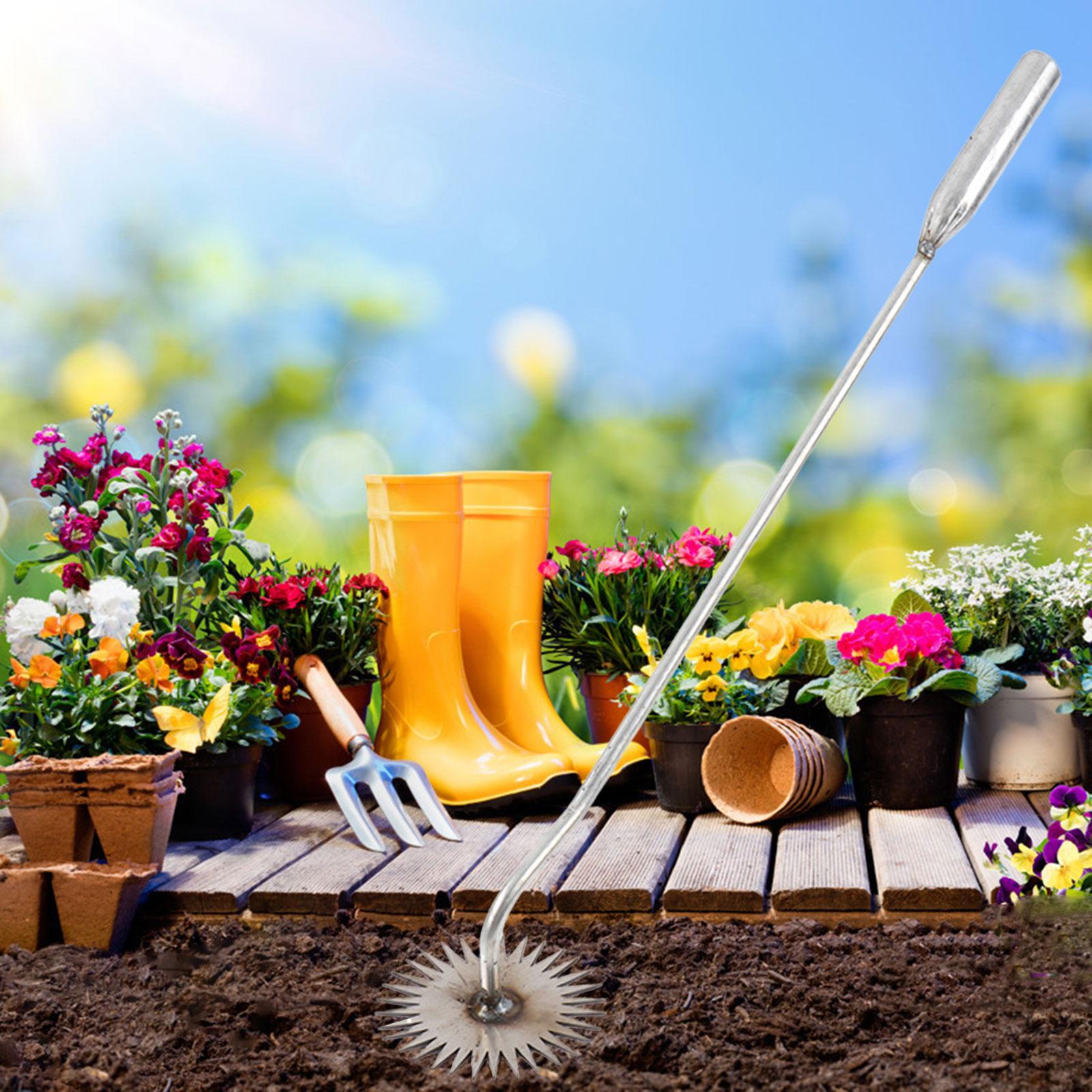Attrezzo per la Rimozione dell - Gardening Tools To Remove Grass recensione e prezzo