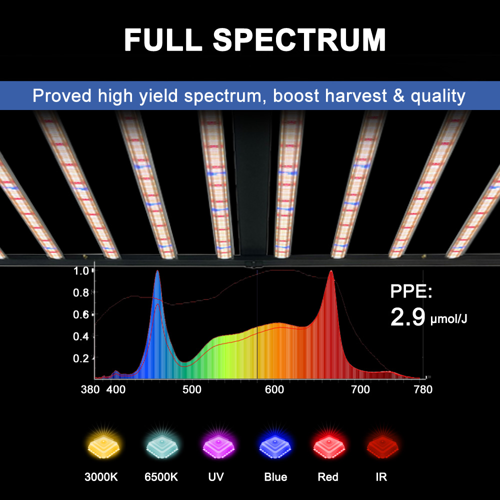 SLTMAKS 8x6FT 4X6FT 1000W Lamp - Led Grow Light recensione e prezzo