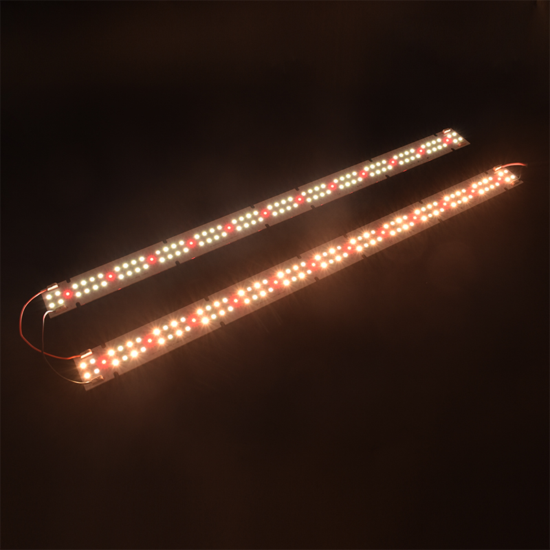 Lampada LED COB per Coltivazio - Led Grow Light recensione e prezzo