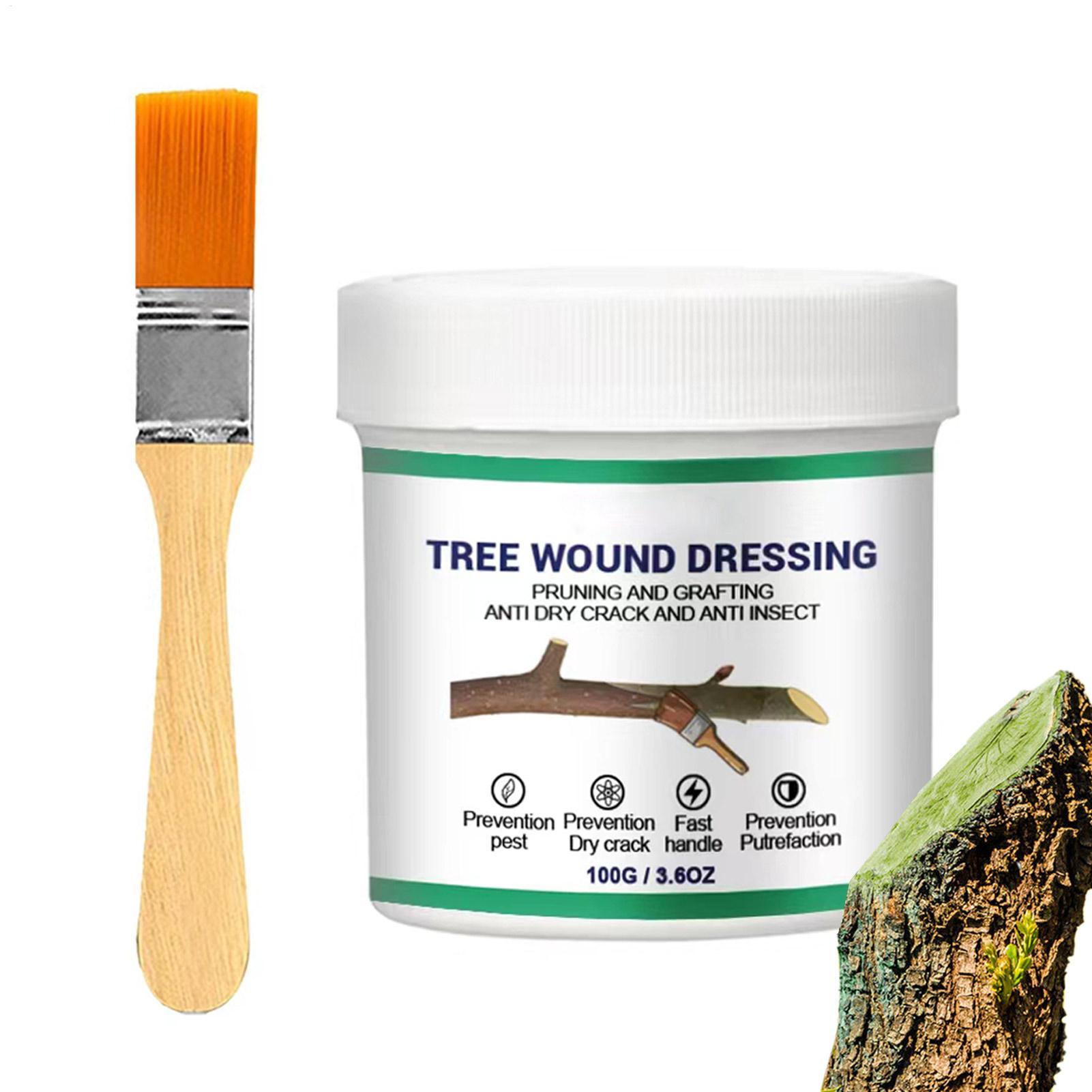 Pasta per Innesto Alberi, Past - Gardening Tools Wholesale recensione e prezzo