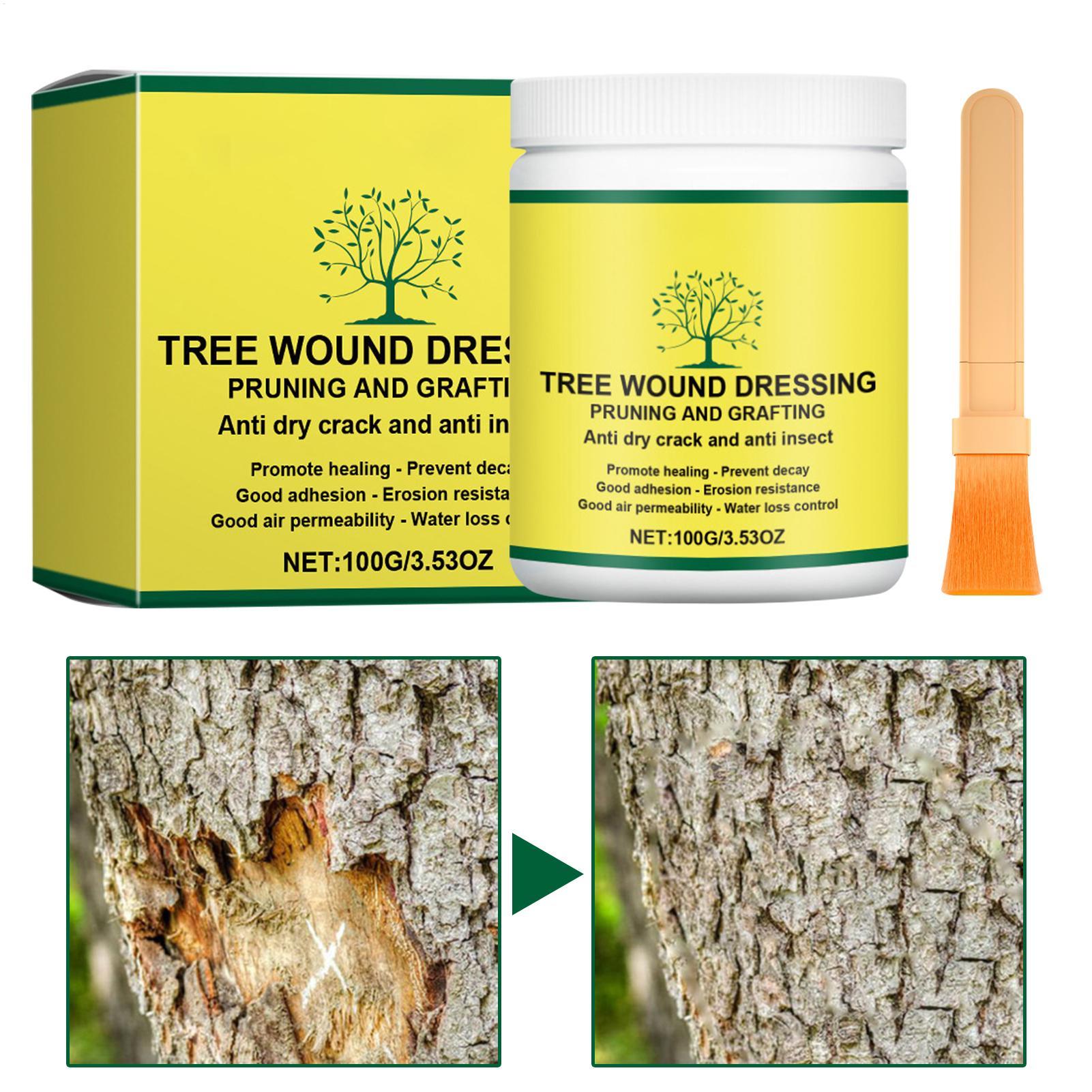 Pasta per Innesto Alberi, Past - Gardening Tools Wholesale recensione e prezzo