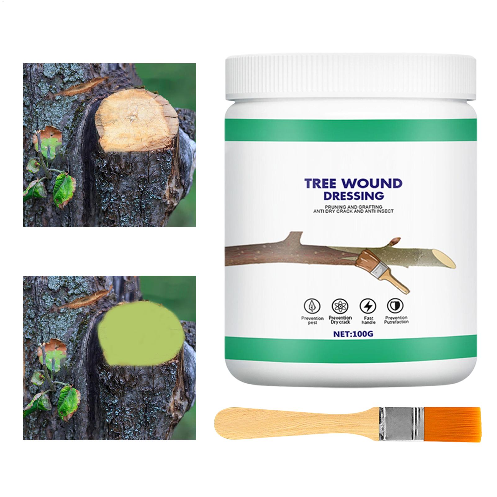 Pasta per Innesto Alberi, Past - Gardening Tools Wholesale recensione e prezzo