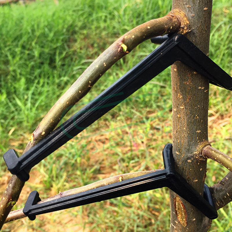 10-30 pezzi clip per alberi da - Gardening Tools For Vines recensione e prezzo