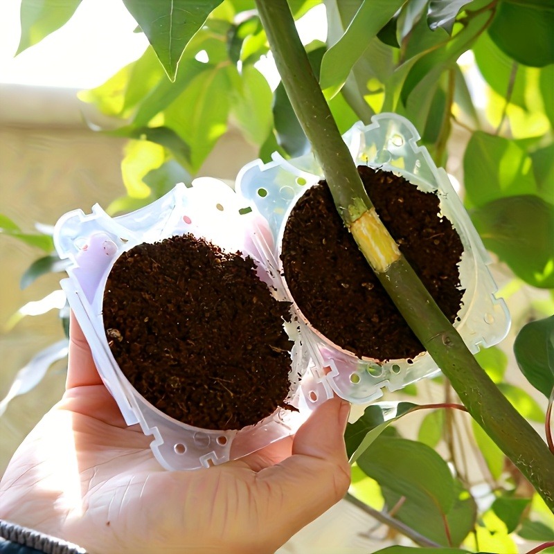 Kit da 10 Pezzi per Propagazio - Gardening Tools Organiser recensione e prezzo
