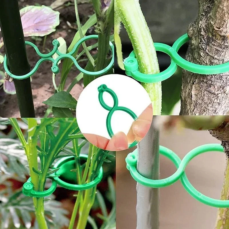Clip in plastica per legature  - Gardening Tools For Vines recensione e prezzo