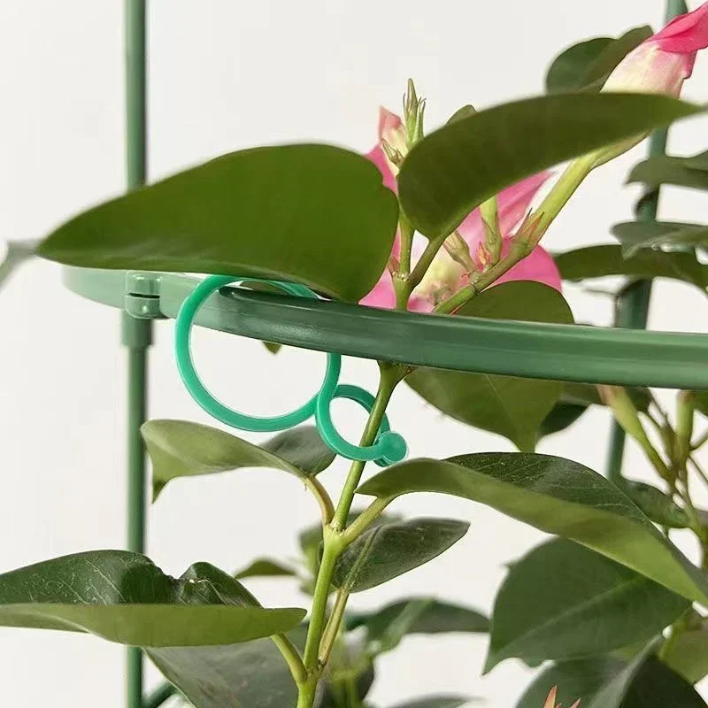 Clip in plastica per legature  - Gardening Tools For Vines recensione e prezzo