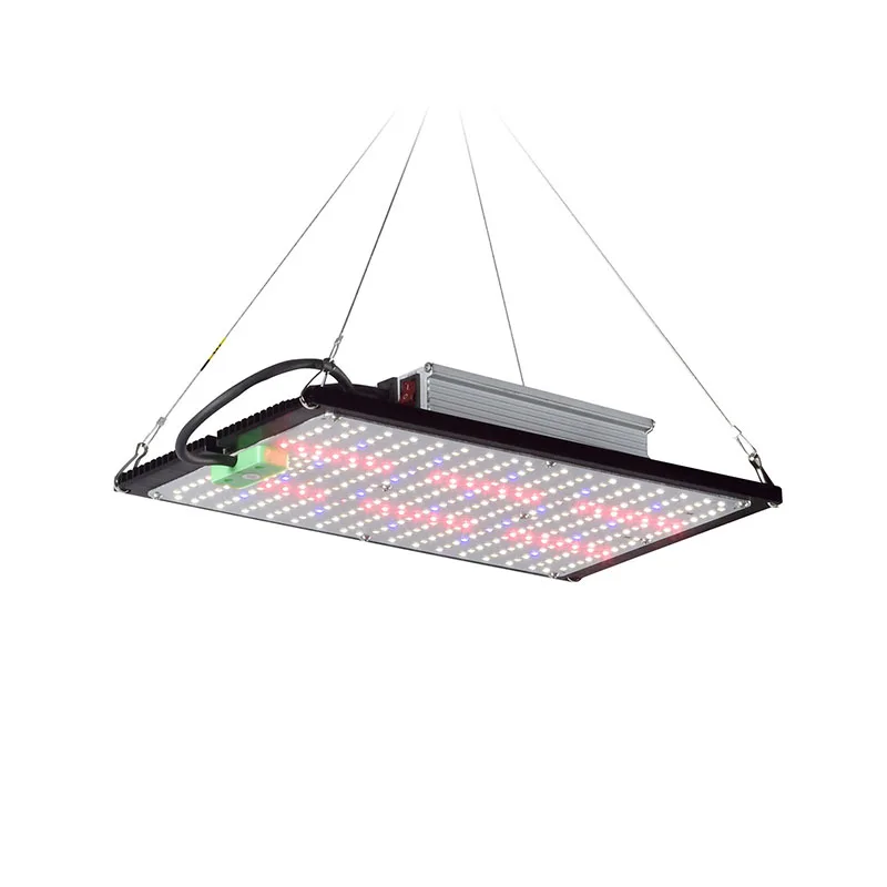 Lampada LED Quantum-Board per  - Led Grow Light recensione e prezzo