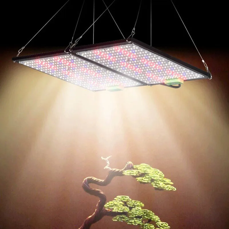 Lampada LED Quantum-Board per  - Led Grow Light recensione e prezzo