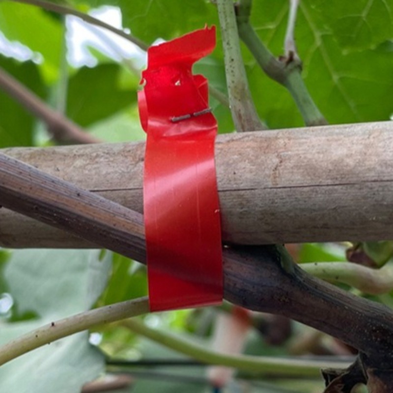 Rilegatrice per rami d'uva Mac - Gardening Tools For Vines recensione e prezzo