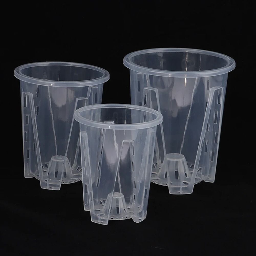 Vaso da fiori trasparente con  - Gardening Tools Wholesale recensione e prezzo