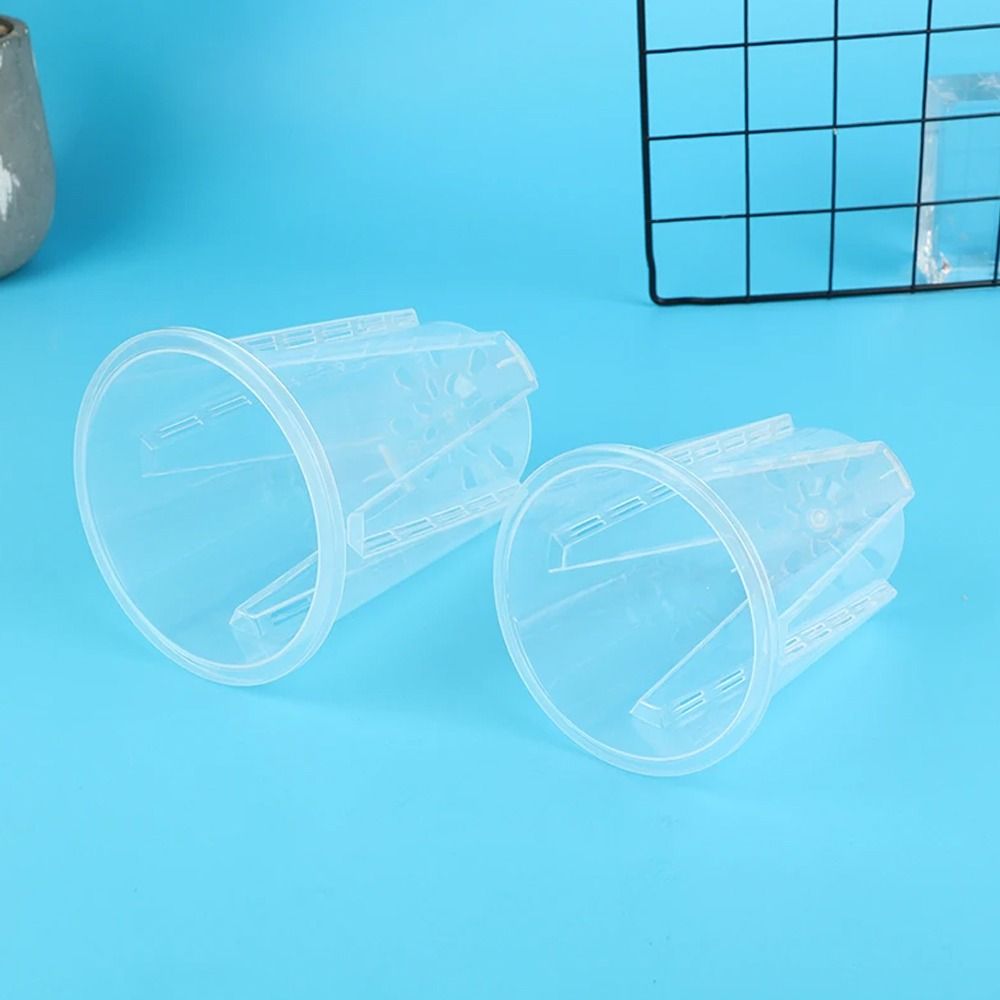 Vaso da fiori trasparente con  - Gardening Tools Wholesale recensione e prezzo