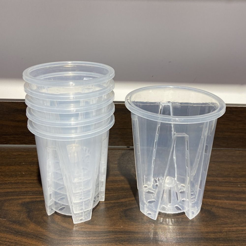 Vaso da fiori trasparente con  - Gardening Tools Wholesale recensione e prezzo